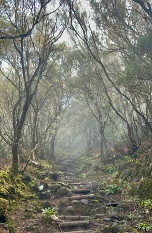 Madeira